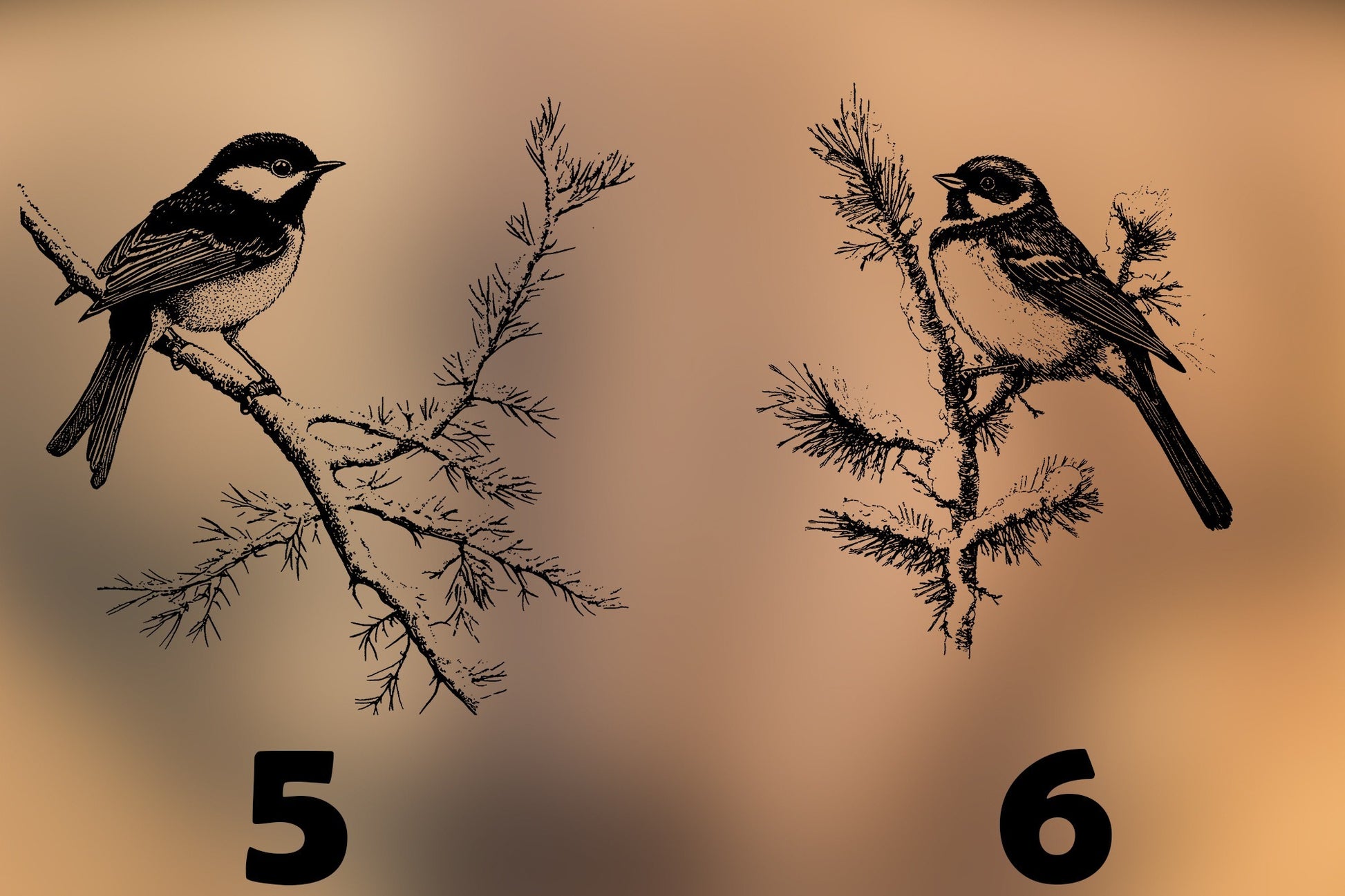 Decoratieplank Wildlife Collectie
